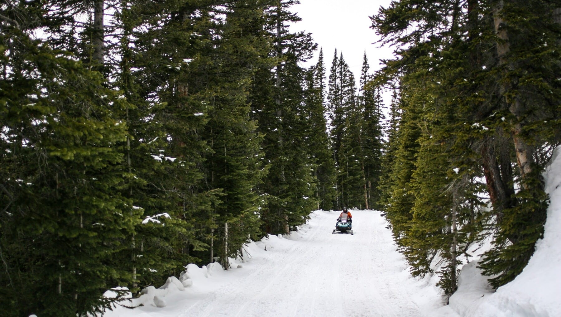 snowmobiling into the cabin