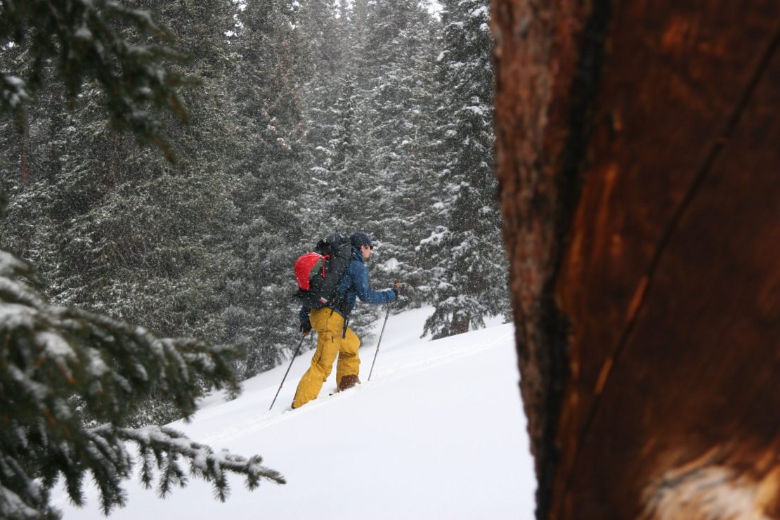 San Juan Expeditions guest touring in the forest with a tree in the foreground